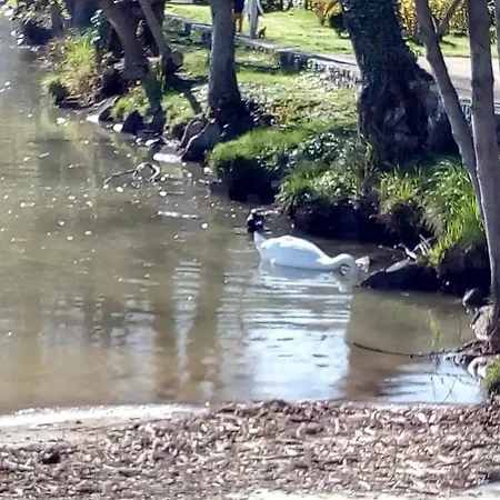 Campsite Les Rives De